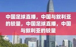 中国足球直播，中国与叙利亚的较量，中国足球直播，中国与叙利亚的较量