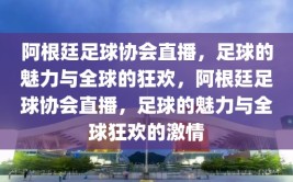 阿根廷足球协会直播，足球的魅力与全球的狂欢，阿根廷足球协会直播，足球的魅力与全球狂欢的激情