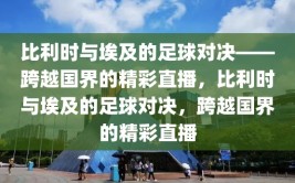 比利时与埃及的足球对决——跨越国界的精彩直播，比利时与埃及的足球对决，跨越国界的精彩直播