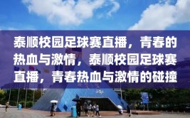 泰顺校园足球赛直播，青春的热血与激情，泰顺校园足球赛直播，青春热血与激情的碰撞