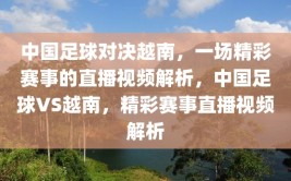 中国足球对决越南，一场精彩赛事的直播视频解析，中国足球VS越南，精彩赛事直播视频解析