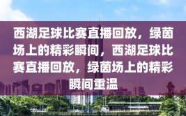 西湖足球比赛直播回放，绿茵场上的精彩瞬间，西湖足球比赛直播回放，绿茵场上的精彩瞬间重温