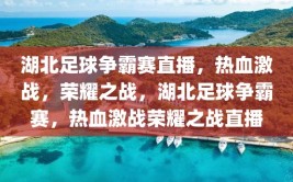 湖北足球争霸赛直播，热血激战，荣耀之战，湖北足球争霸赛，热血激战荣耀之战直播