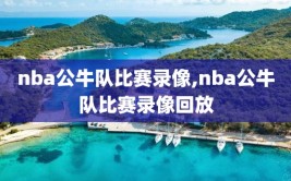 nba公牛队比赛录像,nba公牛队比赛录像回放