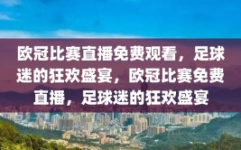 欧冠比赛直播免费观看，足球迷的狂欢盛宴，欧冠比赛免费直播，足球迷的狂欢盛宴