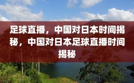 足球直播，中国对日本时间揭秘，中国对日本足球直播时间揭秘