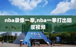 nba录像一拳,nba一拳打出脑浆视频