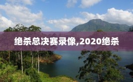 绝杀总决赛录像,2020绝杀