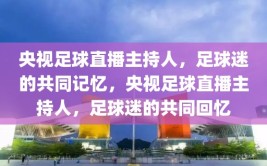 央视足球直播主持人，足球迷的共同记忆，央视足球直播主持人，足球迷的共同回忆