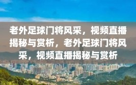 老外足球门将风采，视频直播揭秘与赏析，老外足球门将风采，视频直播揭秘与赏析