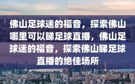 佛山足球迷的福音，探索佛山哪里可以睇足球直播，佛山足球迷的福音，探索佛山睇足球直播的绝佳场所