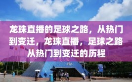 龙珠直播的足球之路，从热门到变迁，龙珠直播，足球之路从热门到变迁的历程