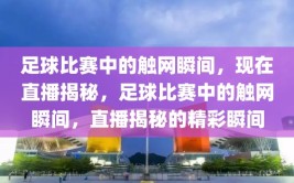 足球比赛中的触网瞬间，现在直播揭秘，足球比赛中的触网瞬间，直播揭秘的精彩瞬间