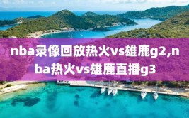 nba录像回放热火vs雄鹿g2,nba热火vs雄鹿直播g3