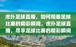 虎扑足球直播，如何观看足球比赛的精彩瞬间，虎扑足球直播，尽享足球比赛的精彩瞬间