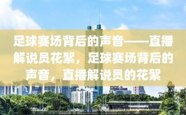 足球赛场背后的声音——直播解说员花絮，足球赛场背后的声音，直播解说员的花絮