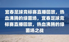 宜春足球竞标赛直播回放，热血沸腾的绿茵场，宜春足球竞标赛直播回放，热血沸腾的绿茵场之战