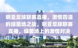 明亚足球联赛直播，激情四溢的绿茵场之战，明亚足球联赛直播，绿茵场上的激情对决