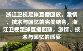 浙江卫视足球直播回放，激情、技术与回忆的完美结合，浙江卫视足球直播回放，激情、技术与回忆的盛宴