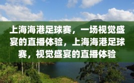 上海海港足球赛，一场视觉盛宴的直播体验，上海海港足球赛，视觉盛宴的直播体验