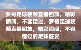 罗哥足球视频直播回放，精彩瞬间，不容错过，罗哥足球视频直播回放，精彩瞬间，不容错过的足球盛宴