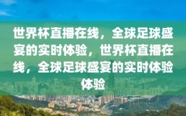 世界杯直播在线，全球足球盛宴的实时体验，世界杯直播在线，全球足球盛宴的实时体验体验