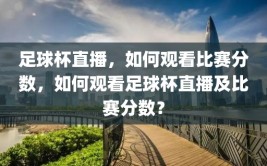 足球杯直播，如何观看比赛分数，如何观看足球杯直播及比赛分数？