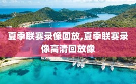 夏季联赛录像回放,夏季联赛录像高清回放像