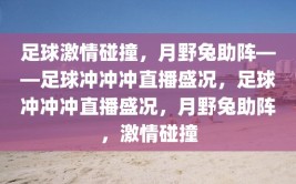 足球激情碰撞，月野兔助阵——足球冲冲冲直播盛况，足球冲冲冲直播盛况，月野兔助阵，激情碰撞