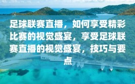 足球联赛直播，如何享受精彩比赛的视觉盛宴，享受足球联赛直播的视觉盛宴，技巧与要点