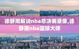 徐静雨解说nba总决赛录像,徐静雨nba篮球大师