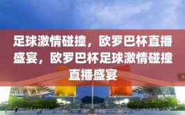 足球激情碰撞，欧罗巴杯直播盛宴，欧罗巴杯足球激情碰撞直播盛宴