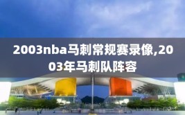 2003nba马刺常规赛录像,2003年马刺队阵容