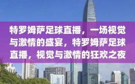 特罗姆萨足球直播，一场视觉与激情的盛宴，特罗姆萨足球直播，视觉与激情的狂欢之夜