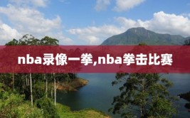 nba录像一拳,nba拳击比赛