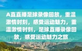 A直直播足球录像回放，重温激情时刻，感受运动魅力，重温激情时刻，足球直播录像回放，感受运动魅力之旅