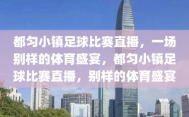 都匀小镇足球比赛直播，一场别样的体育盛宴，都匀小镇足球比赛直播，别样的体育盛宴