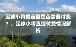 足球小将看直播是否需要付费？，足球小将直播付费情况解析