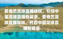 爱奇艺足球直播版权，引领中国足球直播新篇章，爱奇艺足球直播版权，开启中国足球直播新篇章