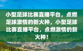 小型足球比赛直播平台，点燃足球激情的新火种，小型足球比赛直播平台，点燃激情的新火种！