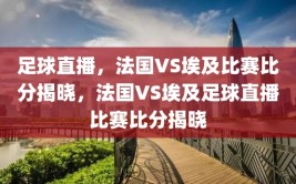 足球直播，法国VS埃及比赛比分揭晓，法国VS埃及足球直播比赛比分揭晓