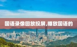 国语录像回放投屏,播放国语的