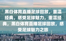 黑白体育直播足球回放，重温经典，感受足球魅力，重温经典，黑白体育直播足球回放，感受足球魅力之旅