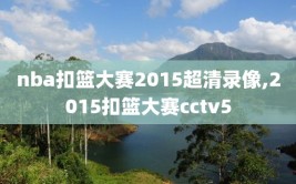 nba扣篮大赛2015超清录像,2015扣篮大赛cctv5