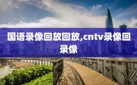 国语录像回放回放,cntv录像回录像