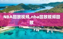 NBA回放视频,nba回放视频回放