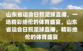 山东省运会日照足球直播，一场精彩绝伦的体育盛宴，山东省运会日照足球直播，精彩绝伦的体育盛宴