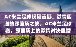 AC米兰足球现场直播，激情四溢的绿茵场之战，AC米兰足球赛，绿茵场上的激情对决直播