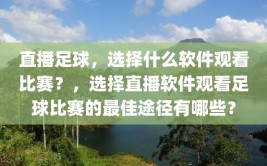 直播足球，选择什么软件观看比赛？，选择直播软件观看足球比赛的最佳途径有哪些？