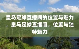 皇马足球直播间的位置与魅力，皇马足球直播间，位置与独特魅力